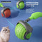 Pet Products